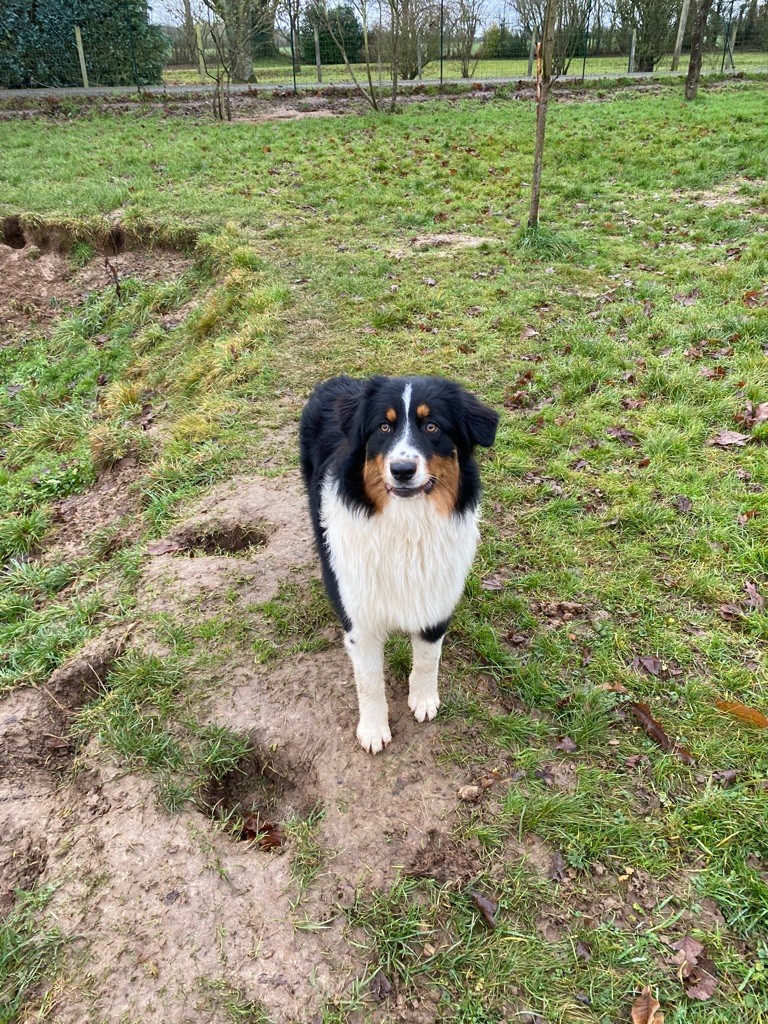 Sookie Du Clan De Mackenzie