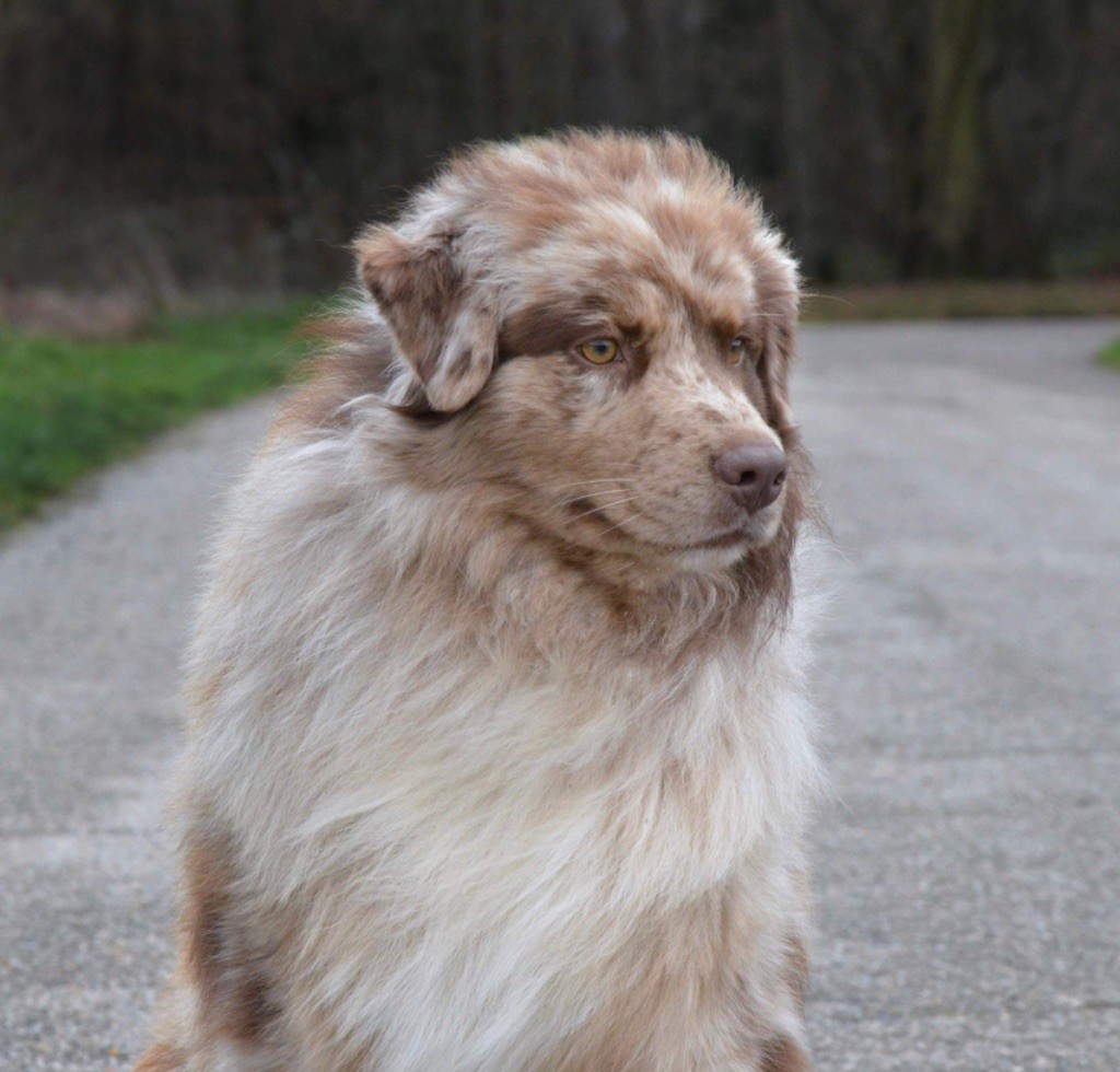 Still missing you - baloo of Cree's River