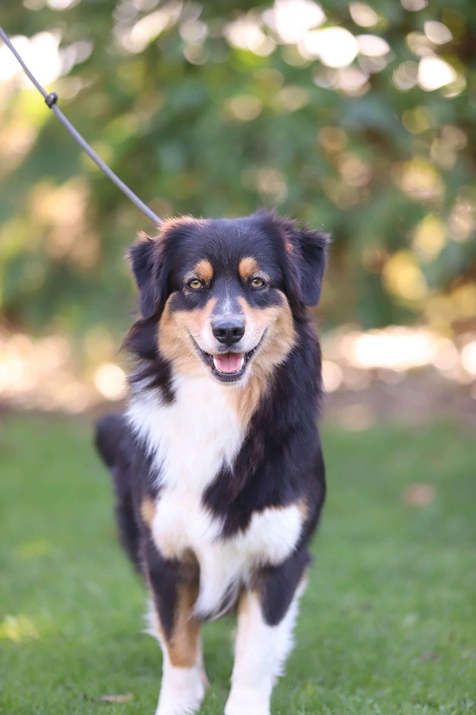 Dream Of Manou And Dounette Tania